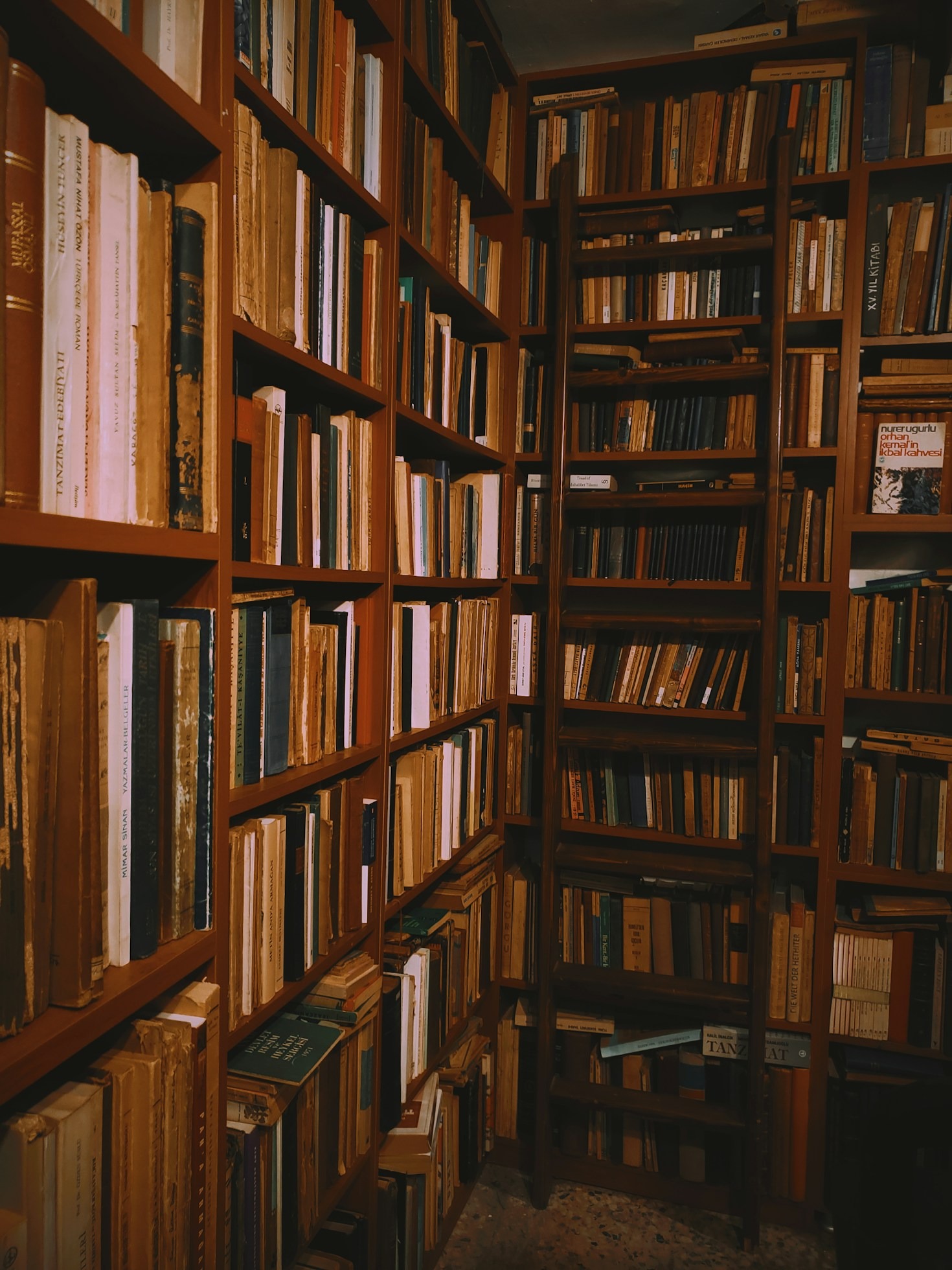 Five Ways To Improve Your Reading Habits